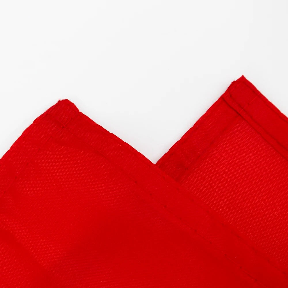 Schweizer Flagge 90x150 cm – Klassische Polyesterfahne mit Ösen